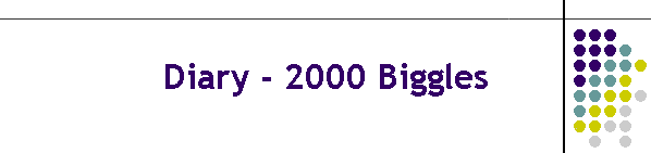 Diary - 2000 Biggles