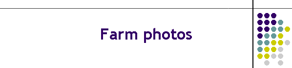 Farm photos